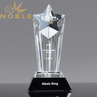 Acclaim Star Crystal Award
