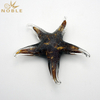Sea Star Hand Blown Glass Animal As Souvenir Gifts