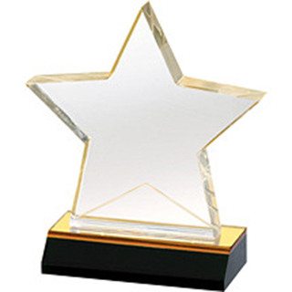 Custom Acrylic Star Award