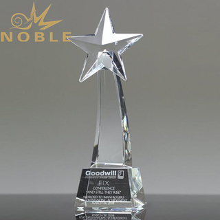 Luminous Crystal Star Award