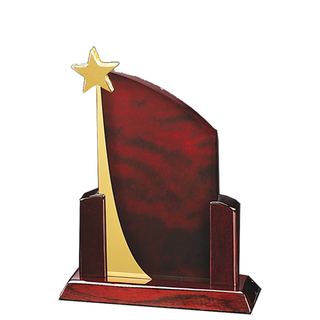 Unique Red Acrylic Star Trophy with Star on The Top