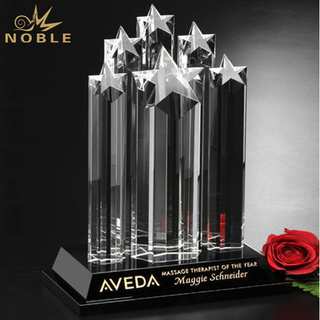 President 6 Star Crystal Award 
