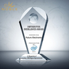 Custom Made Clear Crystal Globe Award