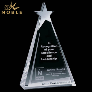 Leadership Award Crystal Clear Star Trophy