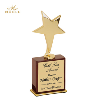 Polished Star Award