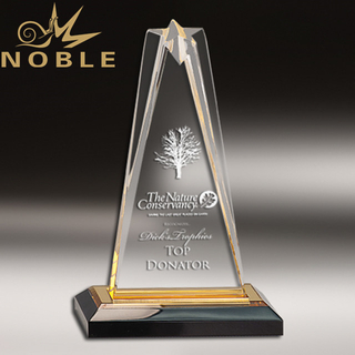 Acrylic Gold Accented Star Impress Trophy Award