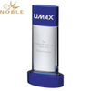 Blue Tipped Pillar Award