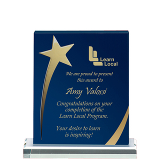 Acrylic Star Trophy