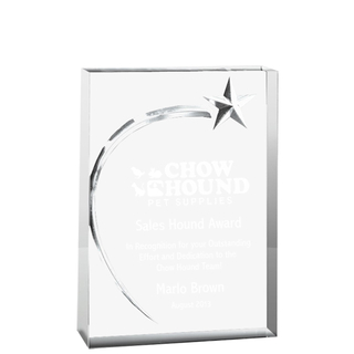 Clear Transparent Acrylic Star Trophy