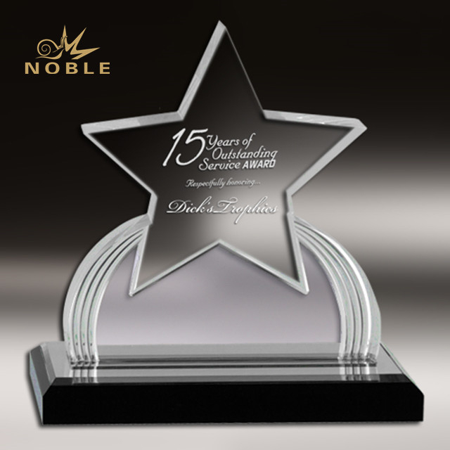 Personalized Acrylic Award Star Trophy