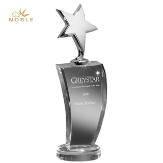 Topliner Star Crystal Award