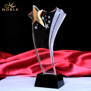 Popular Star Trophy With Golden Star
