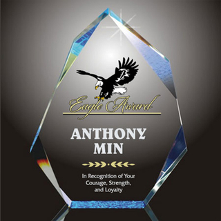 NB-LSS050-Acrylic_Award_Trophy_ICCR8FC