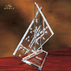 Skysail Award
