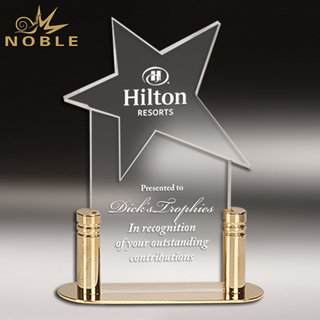  Acrylic Gold Accented Star Trophy Award