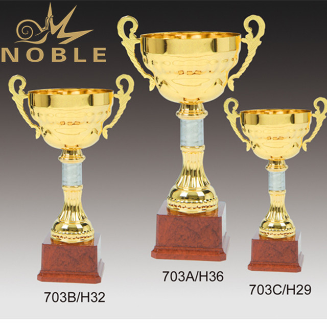 Metal Cup School Student Trophy 
