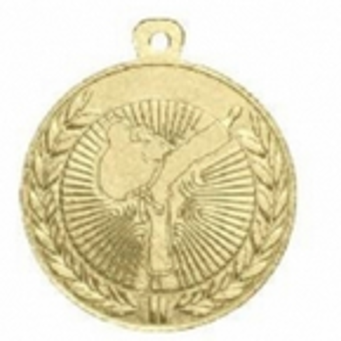 Wholesale Cheap Gold Silver Bronze Metal Business Gift Karate Trophy Award Sports Blank Medal