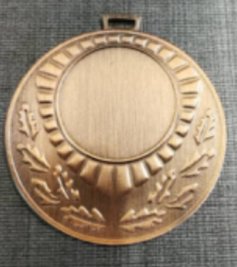Wholesale Cheap Gold Silver Bronze Metal Business Gift Karate Trophy Award Sports Blank Medal