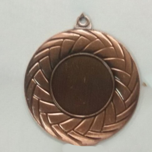 Wholesale Cheap Gold Silver Bronze Metal Business Gift Karate Trophy Award Sports Blank Medal