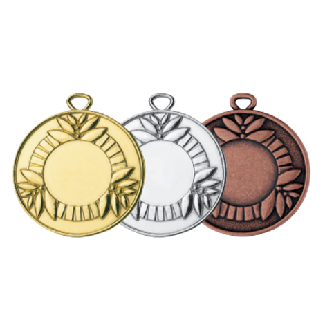 Wholesale Cheap Gold Silver Bronze Metal Business Gift Karate Trophy Award Sports Blank Medal