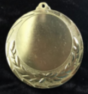 Wholesale Cheap Gold Silver Bronze Metal Business Gift Karate Trophy Award Sports Blank Medal