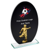 Noble Manufacturer Wholesale Crystal Glass Plaque With Custom Logo UK Gift Sport Soccer Trophy Award Hand Craft