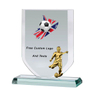 Noble Manufacturer Wholesale Cheap Glass Plaque With Custom Printing Logo UK Gift Personalized Hand Crafts Soccer Trophy Award