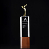 Noble High Quality Crystal Business Gift Sports Awards With Wood Base Custom Bespoke Logo Golf A Hole in One Trophy Hand Craft