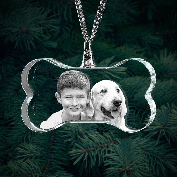 Noble Crystal Bone With 3D Laser Engraving Picture Inside Pet Dog Gift Key Chain