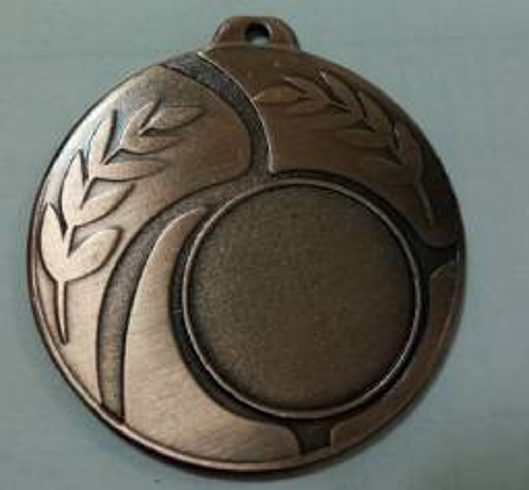 Wholesale Cheap Gold Silver Bronze Metal Business Gift Karate Trophy Award Sports Blank Medal