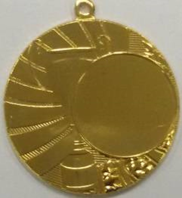 Wholesale Cheap Gold Silver Bronze Metal Business Gift Karate Trophy Award Sports Blank Medal