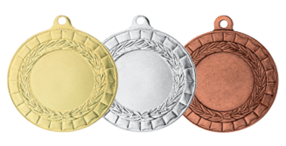 Wholesale Cheap Gold Silver Bronze Metal Business Gift Karate Trophy Award Sports Blank Medal