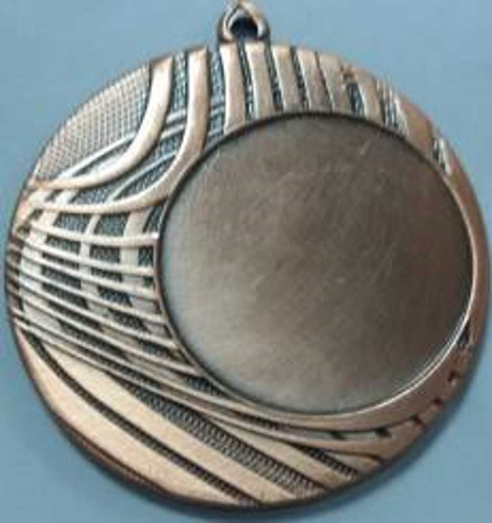 Wholesale Cheap Gold Silver Bronze Metal Business Gift Karate Trophy Award Sports Blank Medal