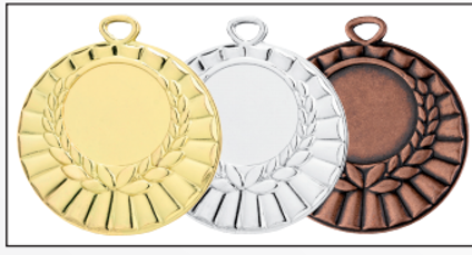 Wholesale Cheap Gold Silver Bronze Metal Business Gift Karate Trophy Award Sports Blank Medal