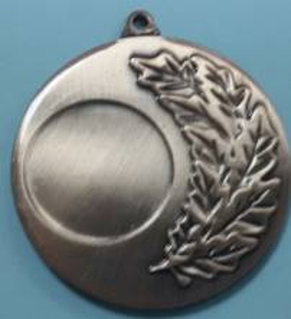 Wholesale Cheap Gold Silver Bronze Metal Business Gift Karate Trophy Award Sports Blank Medal
