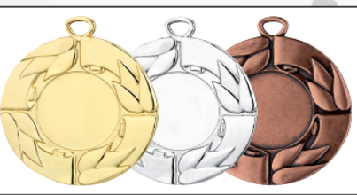 Wholesale Cheap Gold Silver Bronze Metal Business Gift Karate Trophy Award Sports Blank Medal