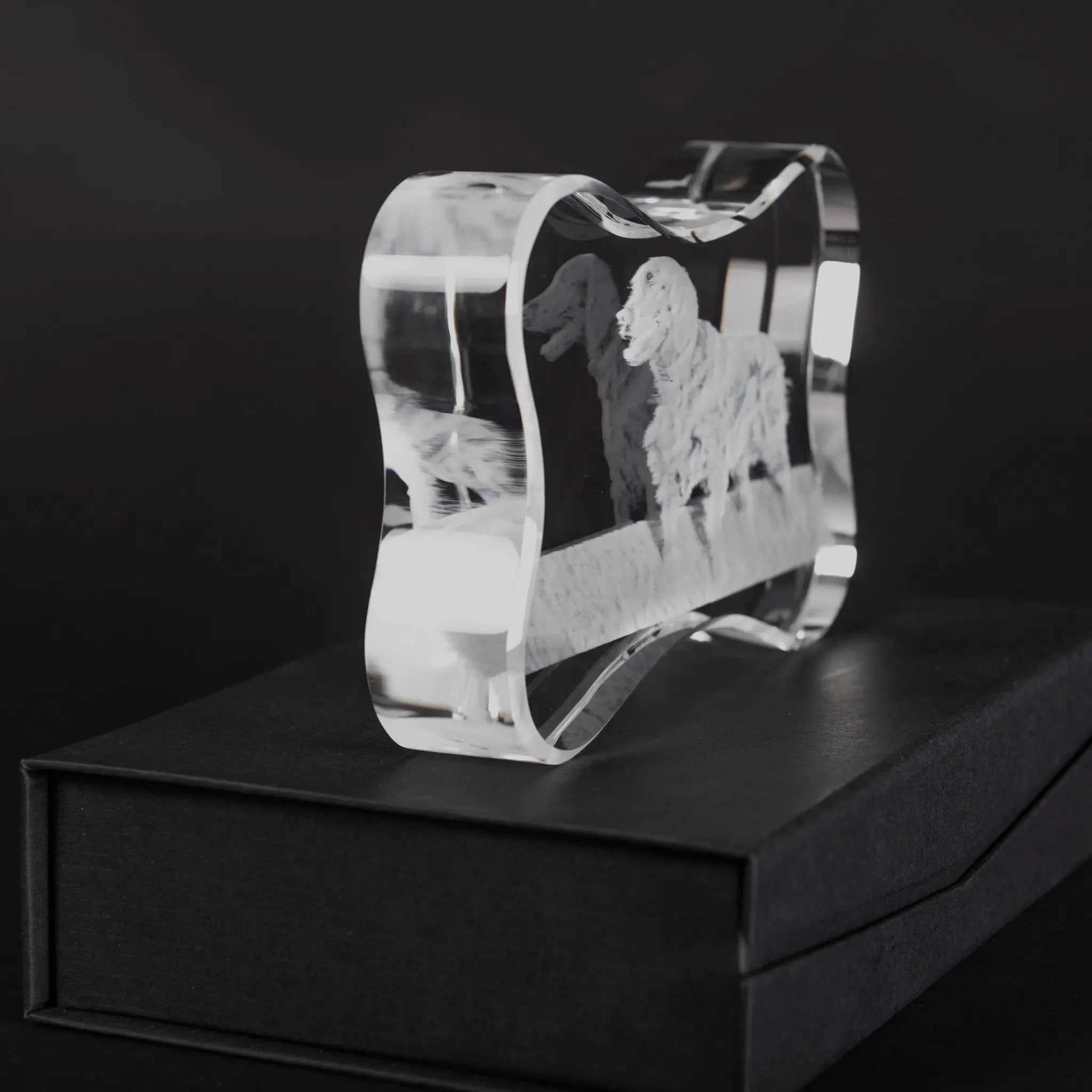 Noble Manufacturer Wholesale UK Gift Personalized Pet Crystal Glass Dog Souvenir Plaque Hanger