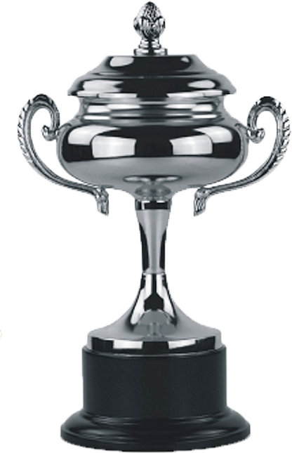 Noble High Quality Metal Golf Trophy Award Cup