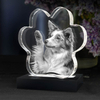 Noble Crystal Cat Paw With 3D Laser Engraving Picture Inside Cat Paw Pet Gift Paperweight