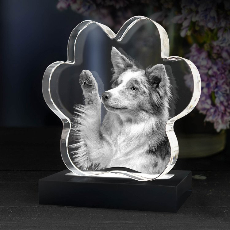 Noble Crystal Cat Paw With 3D Laser Engraving Picture Inside Cat Paw Pet Gift Paperweight