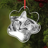 Noble Crystal Cat Paw With 3D Laser Engraving Picture Inside Pet Cat Gift Key Chain