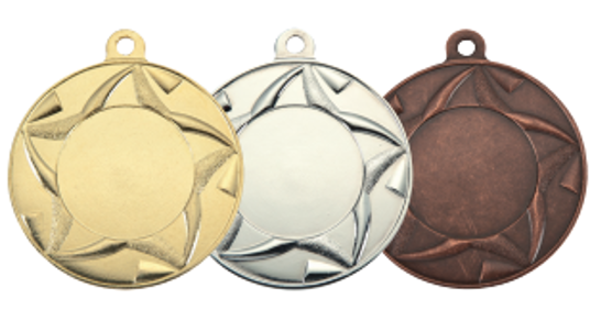 Wholesale Cheap Gold Silver Bronze Metal Business Gift Karate Trophy Award Sports Blank Medal