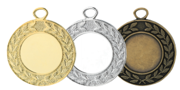 Wholesale Cheap Gold Silver Bronze Metal Business Gift Karate Trophy Award Sports Blank Medal