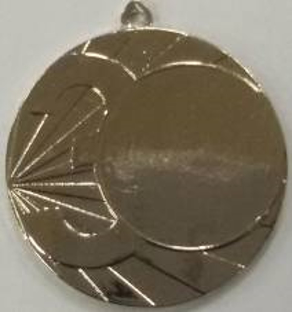Wholesale Cheap Gold Silver Bronze Metal Business Gift Karate Trophy Award Sports Blank Medal