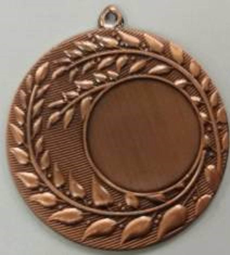 Wholesale Cheap Gold Silver Bronze Metal Business Gift Karate Trophy Award Sports Blank Medal