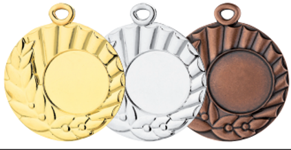 Wholesale Cheap Gold Silver Bronze Metal Business Gift Karate Trophy Award Sports Blank Medal