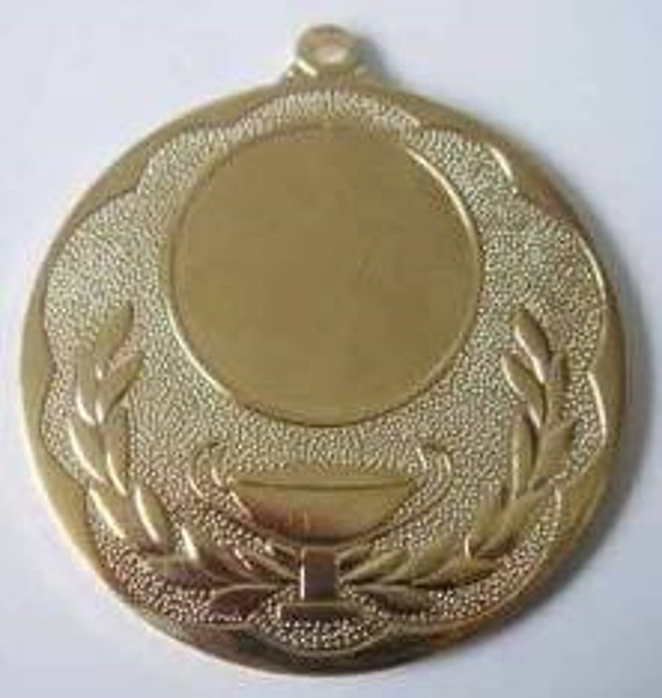 Wholesale Cheap Gold Silver Bronze Metal Business Gift Karate Trophy Award Sports Blank Medal
