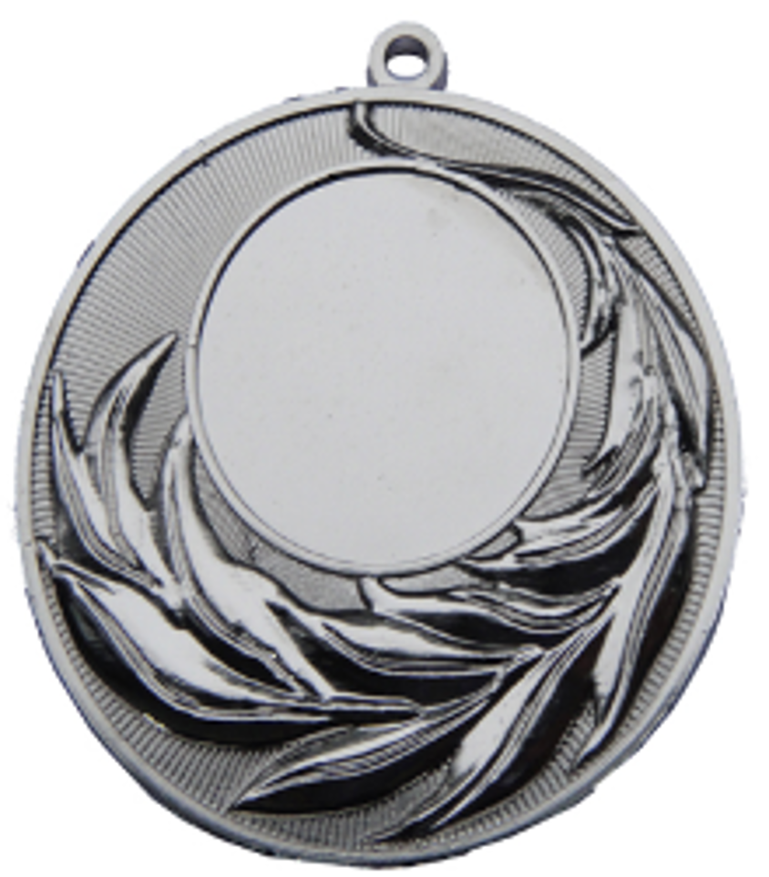 Wholesale Cheap Gold Silver Bronze Metal Business Gift Karate Trophy Award Sports Blank Medal