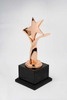 Noble Crystal Base with Gold Silver Bronze Metal Star Business Gift Customized Bespoke Logo Office Decoration Trophy Award