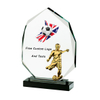 Noble Manufacturer Wholesale Glass Plaque With Custom Printing Logo UK Gift Personalized Sports Soccer Trophy Award 